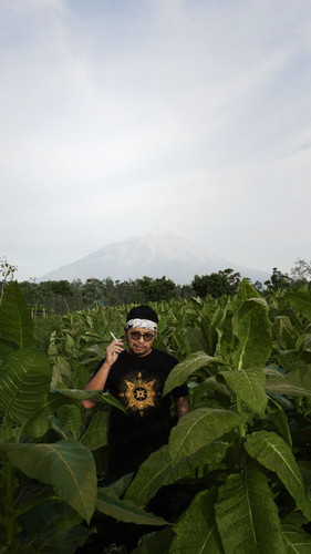 instastory majapahit gani.jpg
