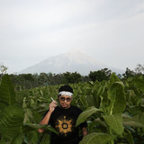 instastory majapahit gani