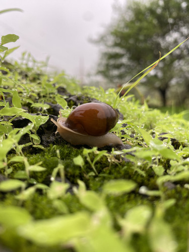 223ED0E3 C869 4A8F B062 225ACA9A57EF.jpg