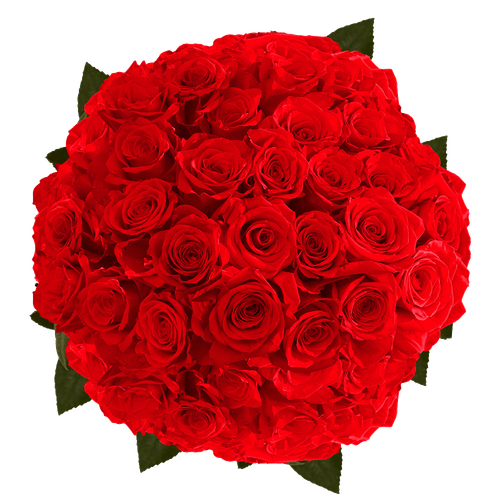 roses next day delivery globalrose.png