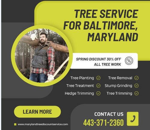 Tree Service Timonium | Marylandtreediscountservice.com.jpg