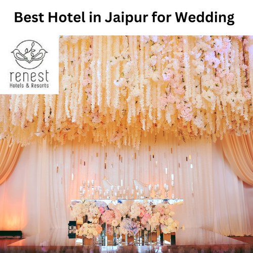 Best Hotel in Jaipur for Wedding.png