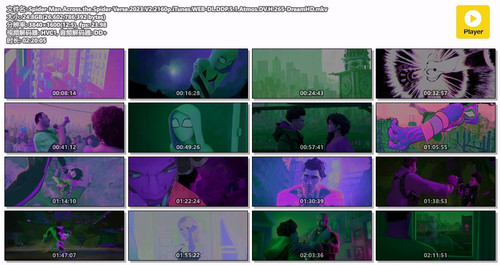 Spider Man.Across.the.Spider Verse.2023.V2.2160p.iTunes.WEB DL.DDP.5.1.Atmos.DV.H.265 DreamHD.mkv.jpg