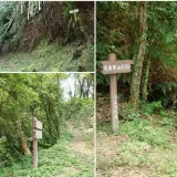 00008 鹿窟崙、九層坪山、耳空龜山登山口