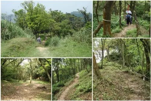 00010 汐止大尖山步道.webp