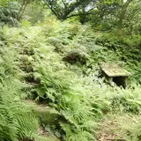00012 茄苳古道