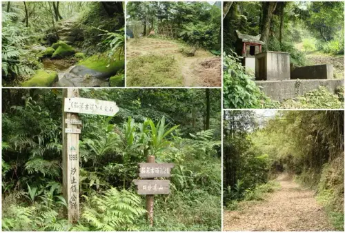 00013 茄苳古道.webp