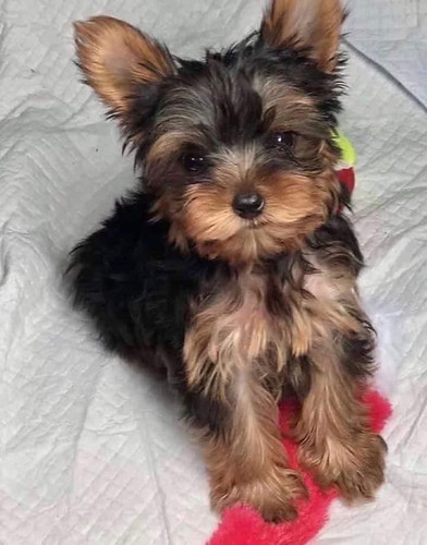 IMG 20230808 012905 612.jpg