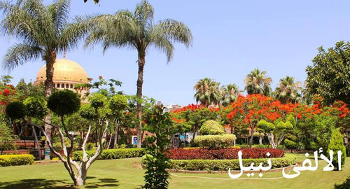 images (22) (21).jpg