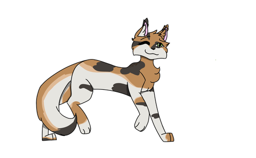 IMG 6546.png