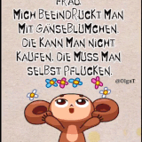 1691607616047.gif