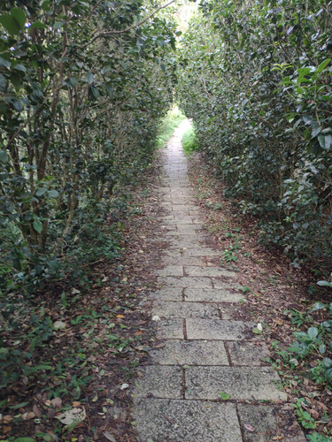 IMG20230805165614.jpg