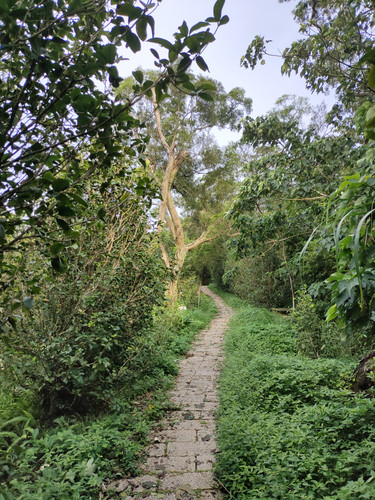IMG20230805165628.jpg