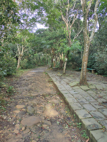 IMG20230805165950.jpg