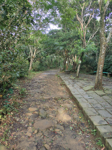 IMG20230805165947.jpg