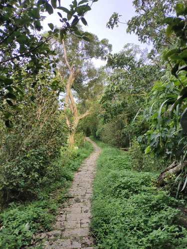 IMG20230805165631.jpg