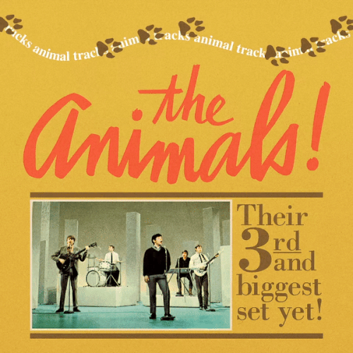 The Animals - Animal Tracks Compilation.gif
