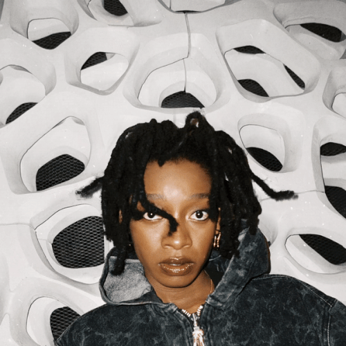 Little Simz - NO THANK YOU.gif