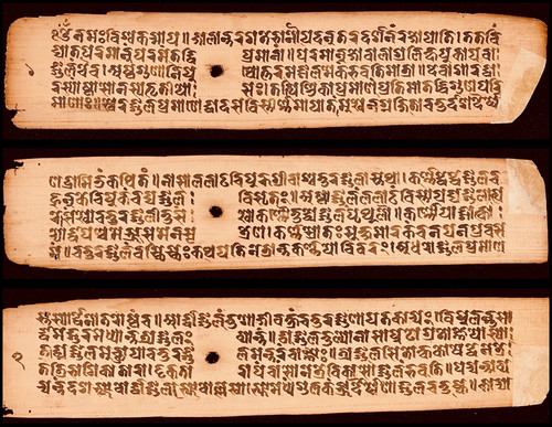 Palm leaf.jpg