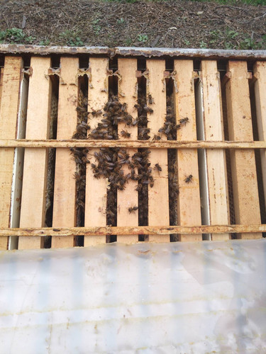 IMG f53de84233ce15e5ac2761343d1aac0c V.jpg