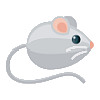 mouse1.png