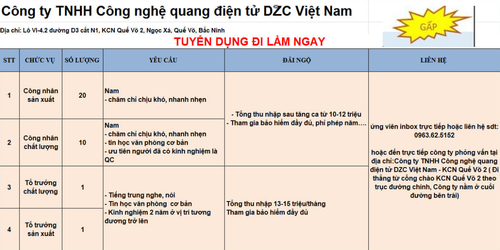 1653 CÔNG TY TNHH CÔNG NGHỆ QUANG ĐIỆN TỬ DZC VIỆT NAM.png