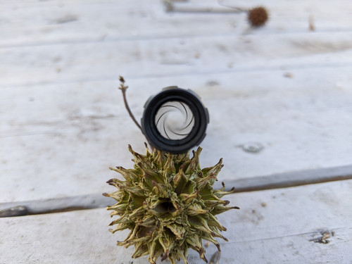 IMG 20191205 123055.jpg