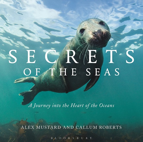 Secrets of the Seas: A journey into the heart of the oceans