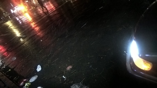 WP 20191202 22 30 56 Pro.jpg