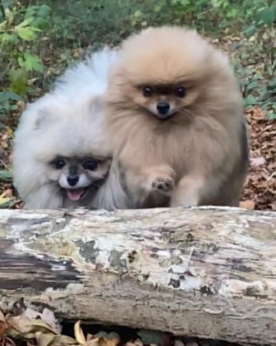 30925874 2AE3 48DE 911E 12F77C9F230D.jpg