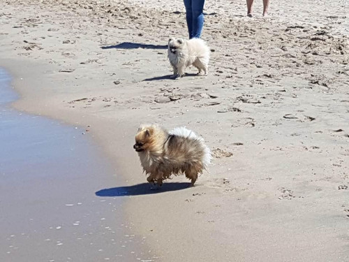 28FE6523 9DA7 4B00 9F37 F21F1749668A.jpg