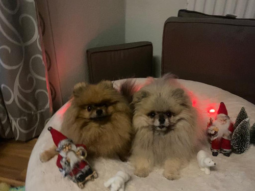 6BAE59F5 4505 4729 AAA5 03B54CC45E27.jpg