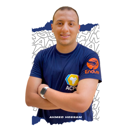 Ahmed Hossam1.png