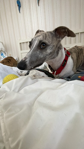 62A43A29 F785 4E62 B01D CA2A5313F52E.jpg