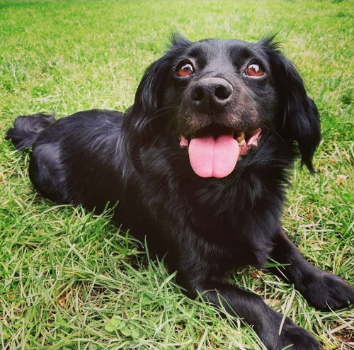 IMG 20230102 134254.jpg