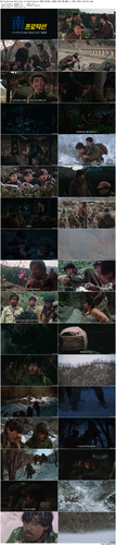 North.Korean.Partisan.in.South.Korea.1990.BluRay.1080p.DTS HD.MA5.1.x265.10bit BeiTai preview.jpg