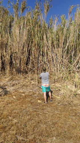 received 1040082253333559.jpg