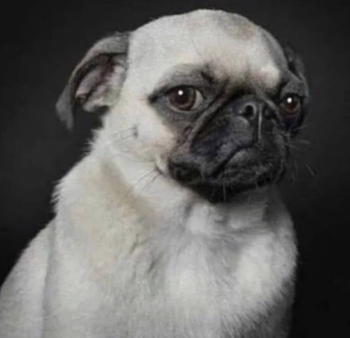 2E278B48 47C4 4668 8D78 4E58B7DF44DC.jpg