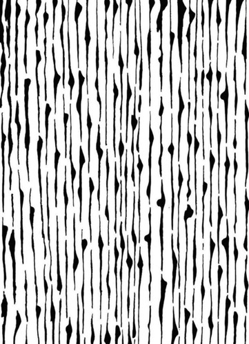 322961891 654550626358025 7536852407826288838 n.jpg