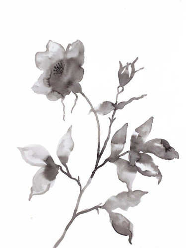 316778756 1217175072540755 7219791615989851837 n.jpg