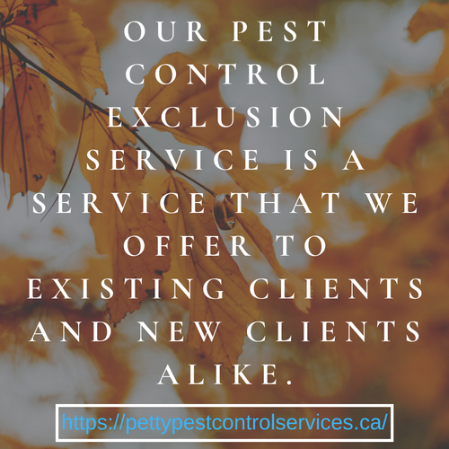 Pest Control Exclusion Services.png