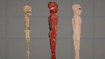 12 26 52 human workshop.webp