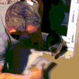 koti.gif