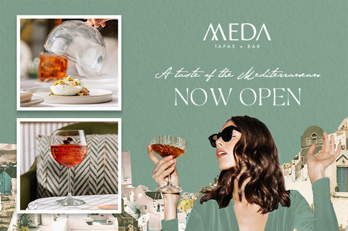Meda Apr Newsletter Header.jpg