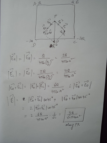 1681894393551.jpg