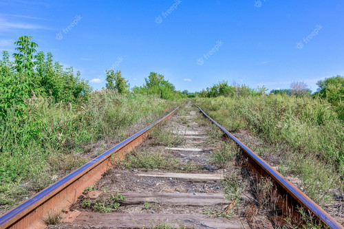 an abandoned old railway the rails were rusted and overgrown with grass 317169 404.jpg