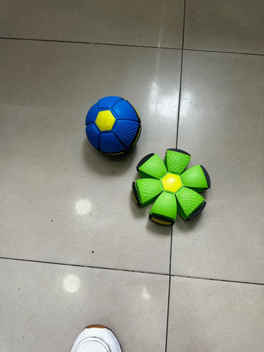 IMG 0736.jpg