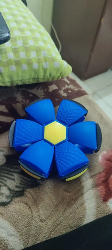 IMG 0725.jpg