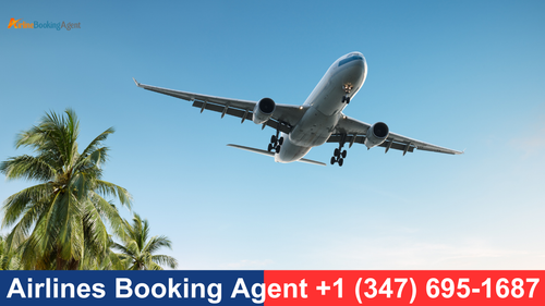 Airlines Phone Number.png