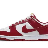 Dunk Low USC 0002